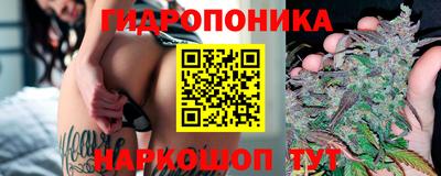 скорость Пугачёв