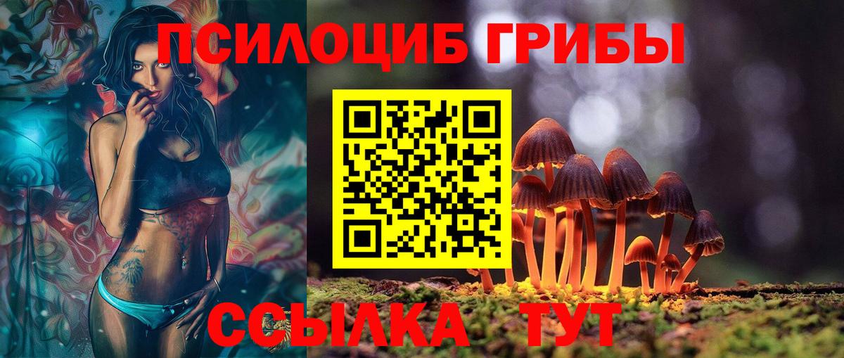 Псилоцибиновые грибы мицелий Нягань